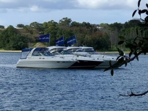 SeaRays at SeaRay Island © Andrew Short Marine www.andrewshortmarine.com.au